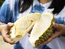 Durian Disebut Buah Nasional Singapura, Netizen RI-Malaysia Bingung