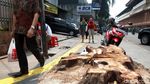 Panas Menyerang Usai Pohon di Cikini Ditebang