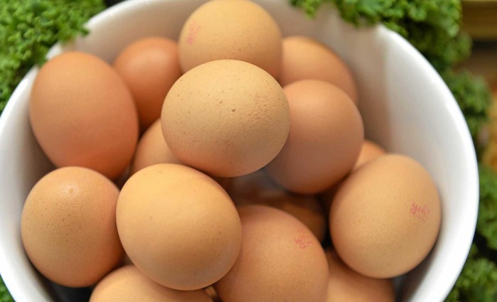 Meninggal Makan Telur