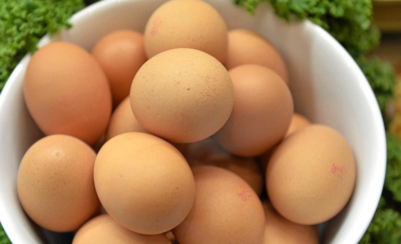 Meninggal Makan Telur