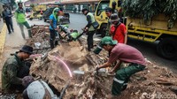 Pohon-pohon yang ditebang menyisakan akar tunggak (bonggol) di jalur pedestrian Cikini, Jakarta.