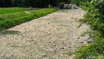 Jorok! Sungai Ledeng di Mojokerto Penuh Sampah dan Limbah Usus Ayam