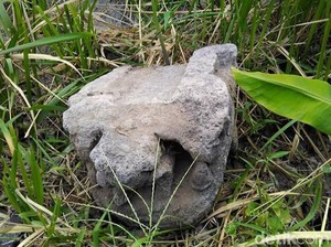 Batu Makara Diduga Peninggalan Abad Ke-9 di Klaten Dilaporkan Hilang