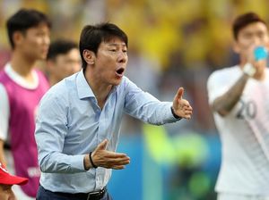 Pesan Menpora Amali Andai Shin Tae-yong Resmi Tangani Timnas Indonesia