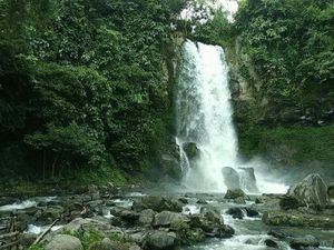 Air Terjun Cantik di Tengah Kebun Kopi