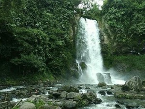 Air Terjun Cantik di Tengah Kebun Kopi