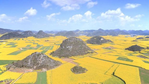 Katanya Ini Lembah Paling Kuning di Dunia