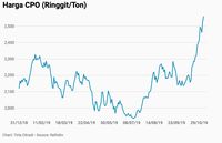 Rekor Tertinggi 20 Bulan Terakhir Benarkah Cpo Bangkit