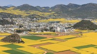 Saking luasnya, tempat ini mendapat predikat sebagai taman bunga natural terbesar di dunia. Sudah jadi yang terbesar, berwarna kuning pula! (iStock)