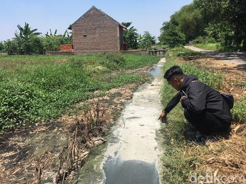 Salah satu parit yang menjadi jalur pembuangan limbah usus ayam ke Sungai Ledeng/