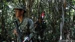 Patroli Bersama Tentara RI dan Malaysia Tembus Hutan Perbatasan