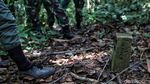 Patroli Bersama Tentara RI dan Malaysia Tembus Hutan Perbatasan