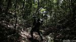 Patroli Bersama Tentara RI dan Malaysia Tembus Hutan Perbatasan