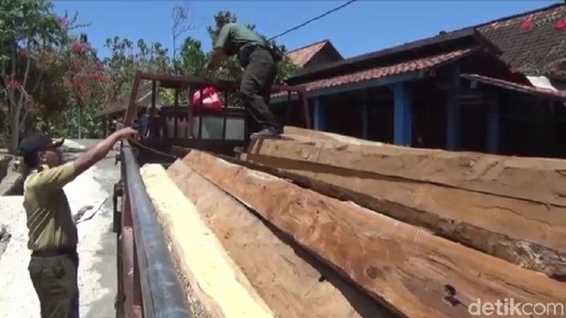 Razia Illegal Logging di Blora, Ratusan Batang Kayu Jati Disita