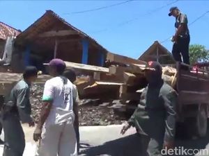 Razia Illegal Logging di Blora, Ratusan Batang Kayu Jati Disita