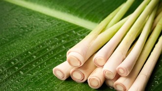 5 Aroma Makanan dan Buah Ini Efektif Tingkatkan Energi dan Fokus