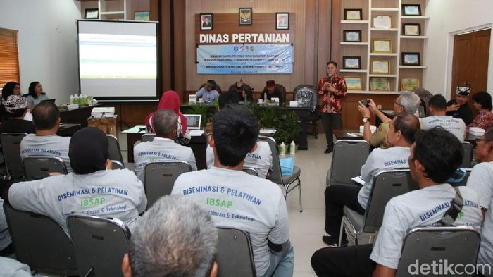 Banyuwangi dan LIPI Kolaborasi Genjot Pertanian Organik