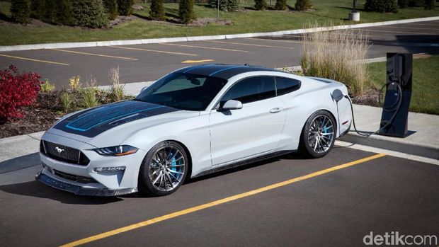 Ford Mustang dicas, aneh tidak ya?