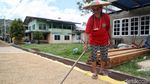 Ini Dia Beras Organik Khas Krayan Favorit Sultan Brunei