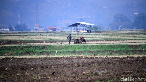Memasuki musim hujan, sejumlah petani di Kecamatan Ciparay, Kabupaten Bandung, Jawa Barat mulai menggarap sawahnya. Mereka membajak sawah untuk ditanami padi.