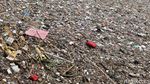 Potret Jorok Hamparan Sampah di Kali Jambe Bekasi