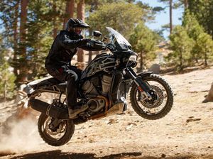 Dua Moge Anyar Harley-Davidson, Sang Petualang dan Naked Kekar