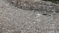 Hamparan sampah itu membuat sungai menjadi kotor dan jorok.