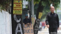 Tulisan berwarna kuning tersebut juga menyertakan alasan pohon akan dipangkas.
