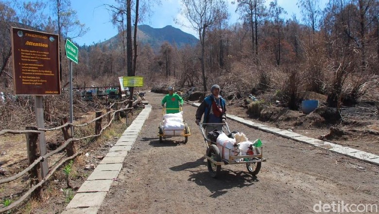 Pendakian Ijen Dibuka Berkah Bagi Penambang Belerang dan Pelaku Wisata Pendakian Ijen Dibuka Berkah Bagi Penambang Belerang dan Pelaku Wisata