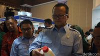King Kobia, Spesies Ikan Lokal Premium yang Lebih Sehat Daripada Salmon