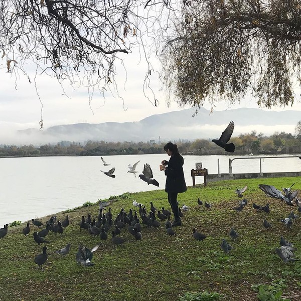 Risa tampaknya juga suka berinteraksi dengan burung-burung di Danau Elizabeth, California (Foto: santosorisa/Instagram) Risa tampaknya juga suka berinteraksi dengan burung-burung di Danau Elizabeth, California (Foto: santosorisa/Instagram)