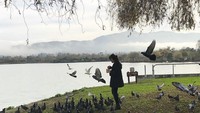 Risa tampaknya juga suka berinteraksi dengan burung-burung di Danau Elizabeth, California (Foto: santosorisa/Instagram)  