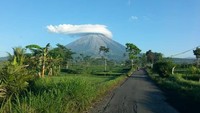 Begitu cantik dan netizen pun bertanya-tanya kapan jalur pendakian Gunung Semeru akan dibuka (Foto: Taman Nasional Bromo Tengger Semeru/Instagram)