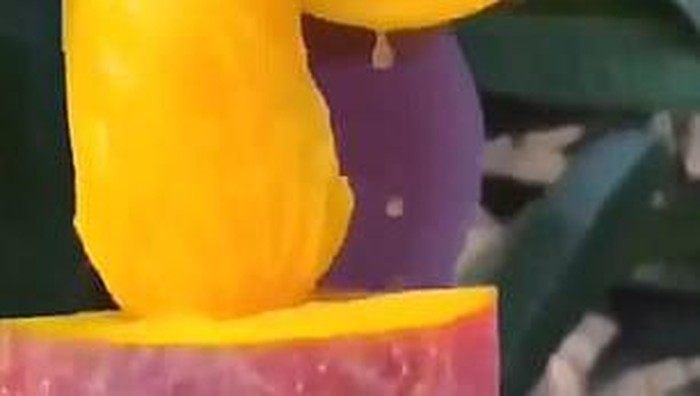 Foto: Twitter The Chi