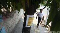 Pohon-pohon tersebut sudah diberi penanda untuk dipangkas.