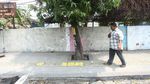 Pohon-pohon di Trotoar Kramat Bakal Senasib dengan yang di Cikini