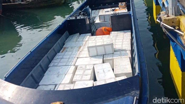 Polisi Gagalkan Penyelundupan Benih Lobster Rp 66 Miliar di Batam Polisi Gagalkan Penyelundupan Benih Lobster Rp 66 Miliar di Batam