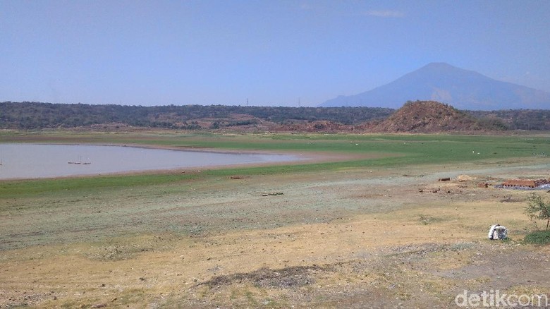 Kemarau Panjang, Waduk Setupatok Cirebon Alami Kekeringan Parah Kemarau Panjang, Waduk Setupatok Cirebon Alami Kekeringan Parah