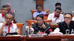 Menpora Bahas Pertimbangan Naturalisasi Atlet di DPR