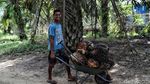 Hiruk Pikuk Aktivitas Warga di Tapal Batas Indonesia-Malaysia