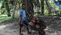 Masih ada sejumlah hal yang menjadi pr bagi pemerintah daerah setempat maupun pemerintah pusat, seperti infrastruktur maupun fasilitas bagi warga di perbatasan Indonesia demi menciptakan kehidupan yang lebih baik dan tentunya sejahtera bagi warga di tapal batas Indonesia.