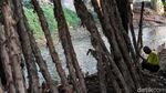 Tanggul Buatan jadi Benteng Kampung Rawajati dari Banjir