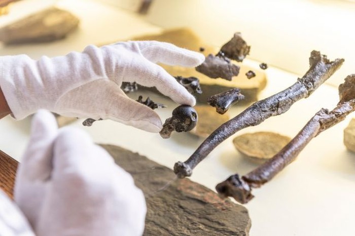 Foto: Christoph Jäckle via Live Science Foto: Christoph Jäckle via Live Science