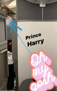 Ke Jepang, Pangeran Harry Kok Naik Pesawat Komersial?