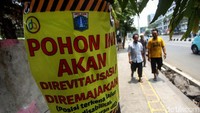 Begini penampakan deretan pohon yang akan direvitalisasi/diremajakan di Trotoar Kramat, Jakarta, Kamis (7/11/2019).