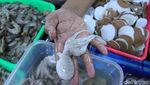 Melihat Aktivitas Pasar Ikan di Kabupaten Bandung