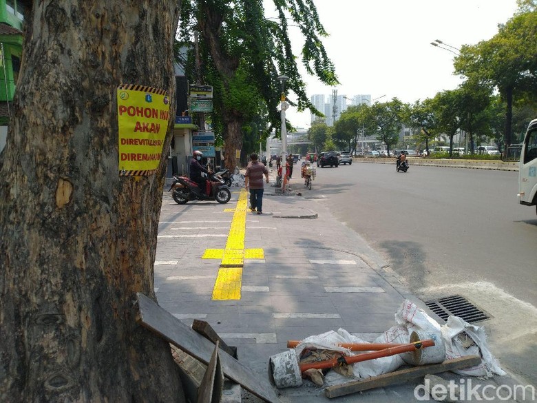 Ada 31 Pohon di Trotoar Kramat Dipasangi Poster Akan Ditebang Ada 31 Pohon di Trotoar Kramat Dipasangi Poster Akan Ditebang