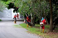 Singapura 'Berdarah-darah' Menjadi Negara Bersih