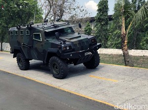 Truk Proyek di Pulau Komodo Dijamin Mundur Kalau Ketemu 4 Komodo Ini