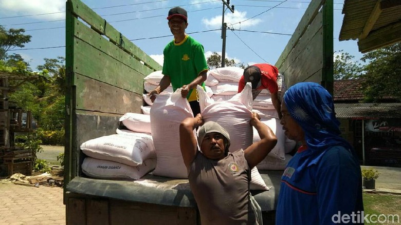 Hore, Blokir Pupuk Subsidi di Tulungagung Akhirnya Dibuka Hore, Blokir Pupuk Subsidi di Tulungagung Akhirnya Dibuka